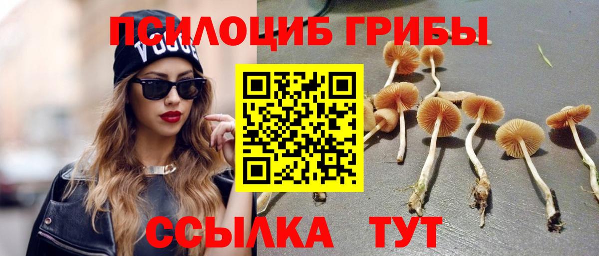 Каспийск  Галлюциногенные грибы Magic Shrooms  Вход с VPN  Галлюциногенные грибы Psilocybine cubensis 