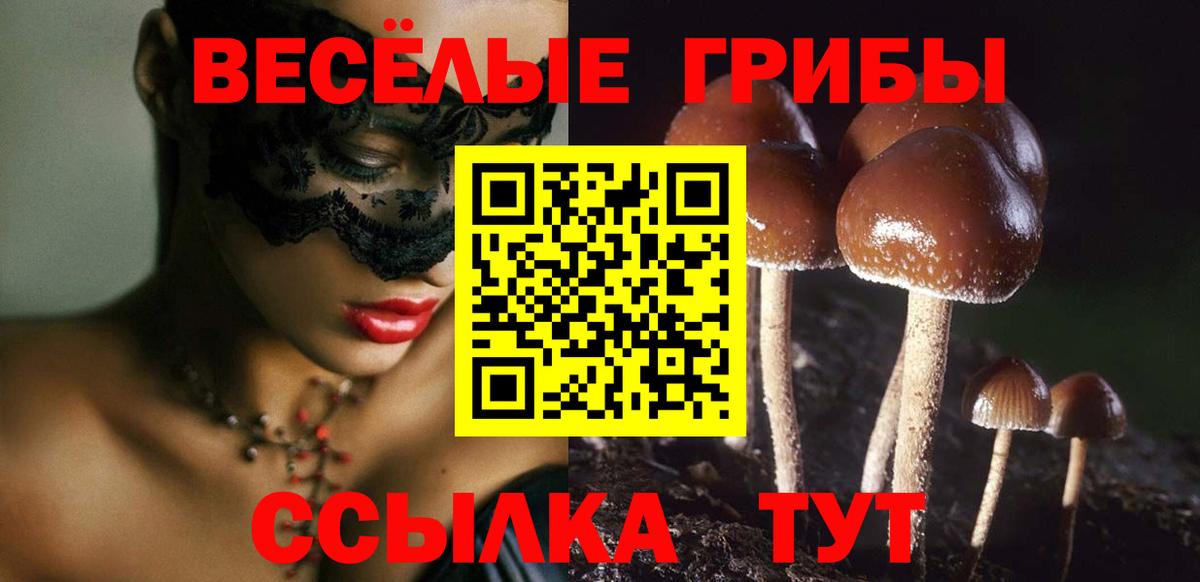 Псилоцибиновые грибы Psilocybe Каспийск
